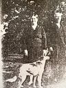 Record image of Adriana Maria van Riel (born Jansen)