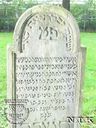 Record image of Hendrina / Hendrika Salomons van Coevorden, daughter of Salomo (born van Raalte)