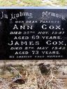 Record image of Ann Cox (born Bryant)