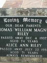 Record image of Alice Anne Riley (born McClymont)