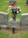 Record image of Sarah A Copeland (born Ferguson)