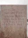 Record image of Caroline Matilda Allen (born Frazier)