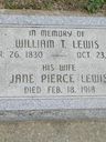 Record image of Mary Jane Lewis (born Portlock)