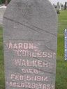 Record image of Aaron Curless Walker