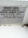Record image of Mary Ann Fleet (born Henwood)