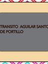 Record image of María del Tránsito Portillo Portillo (born Aguilar Santos)