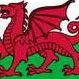 Record image of Morfydd ap Ednyfed Fychan (born verch Meurig)