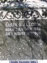 Record image of Sarah Ann Sarah Anne Alcock (born Belch)