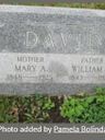 Record image of Mary Ann David (born Stiles)