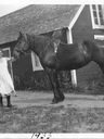 Record image of Hanna Carolina Sjöström (born Johansson)