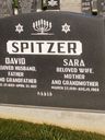 Record image of David Spitzer