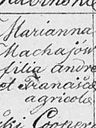 Record image of Maria Wąsik (z d. Machaj)