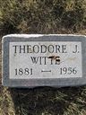 Record image of Theodore Julius Witte
