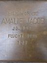 Record image of Amalie White (geb. Jacob)