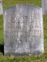 Record image of Sarah R Akin (born Allen)