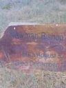 Record image of Newman Bishop Williams