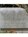 Record image of Georgia Harris Ford (born Rucker)