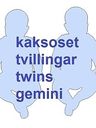 Record image of Taavetti Laurinpoika "Taavi Lassinpoika Nykänen" Nykänen, twin