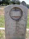Record image of Temperance Vincent Walker (born Jones)