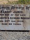 Record image of Albert James Mercer