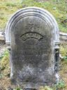 Record image of Sarah L. Fiefield (born Whitmore)