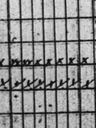 Record image of Anna Helena Piispa (born Huoponen)