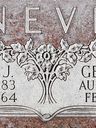 Record image of Bertha Obray Neve / Jessop (born Jackson)