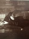 Record image of Edward Robert Huber