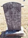 Record image of Sarah Ellen Wofford (born Robertson)