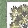 Record image of LUCINDA Atkins or Adkins, (10) Ge (born Stroud)