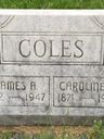 Record image of Caroline Matilda Coles (born Myler)