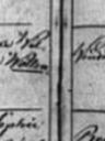 Record image of Auguste Emilie Noack (born Wollenberg)