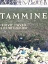 Record image of Toivo David Tamminen