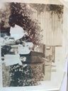 Record image of Patrick Francis Brophy
