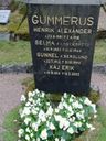 Record image of Henrik Alexander Gummerus