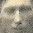 Record image of Clifford Leroy Brown