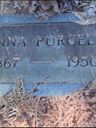 Record image of Ann E. Payne (born Purcell)