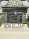 Record image of Sarah Ann Copeland (born Looney)