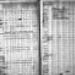 Record image of Adam Blom