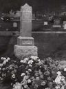 Record image of Samuel Edgar Perry