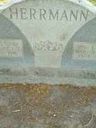 Record image of Emil Herrmann