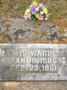 Record image of Lewis Ward, Sr