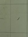 Record image of Maria Kuzma