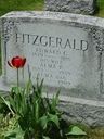 Record image of Alma Priscilla Fitzgerald (born Williams)