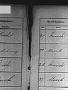Record image of Mary Ann O'Meara (born Bourke)