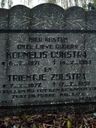 Record image of Trientje Boukes DIJKSTRA (geboren Zijlstra)