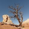 Photo item