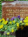 Record image of Anna Margreta Olsson (o.s. Näslund)