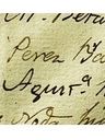 Record image of agustina perez (born rodriguez)