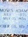 Record image of Moses (Henry Moses) Adams